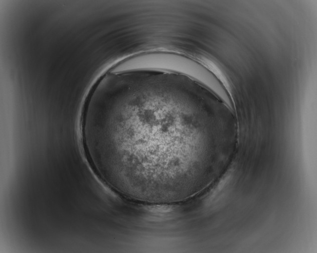 X0000093261141200710031559