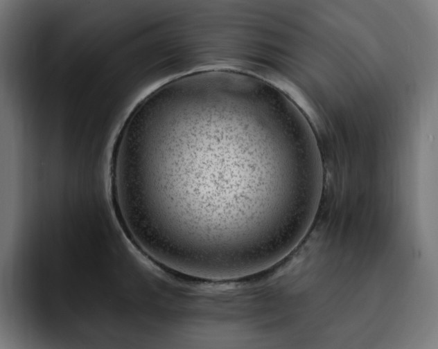 X0000093261143200710031559