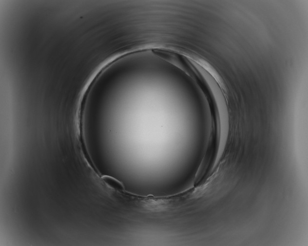 X0000093261148200710031559