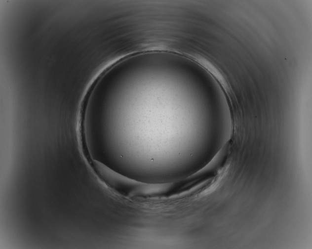 X0000093261149200710031559