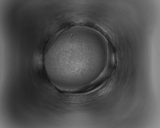 X0000093261156200710031559