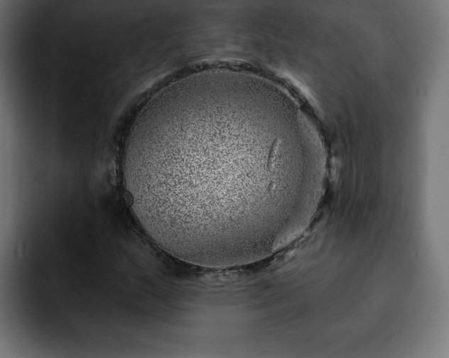 X0000093261159200710031558
