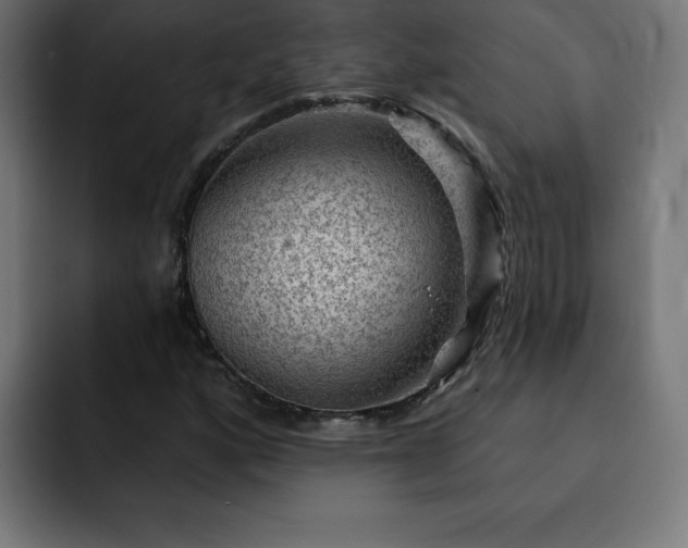X0000093261160200710031558
