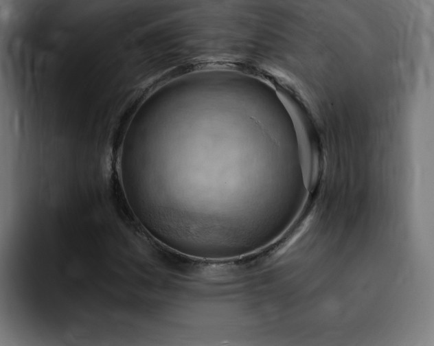 X0000093261161200710031558