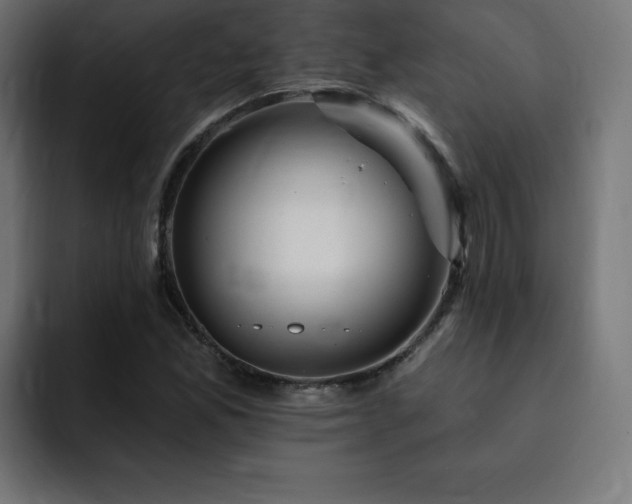 X0000093261165200710031558