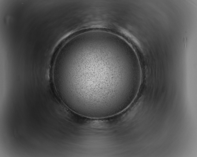 X0000093261166200710031558