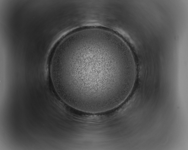 X0000093261167200710031558