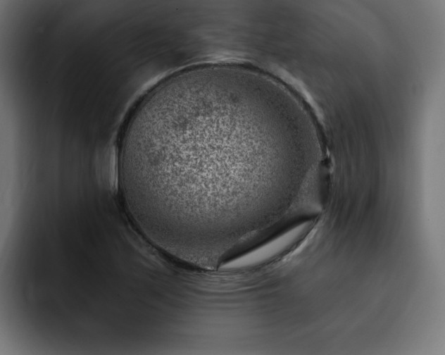 X0000093261171200710031558