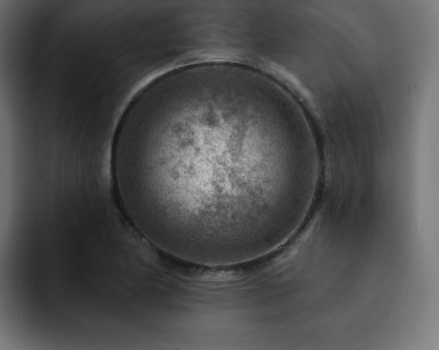 X0000093261174200710031558