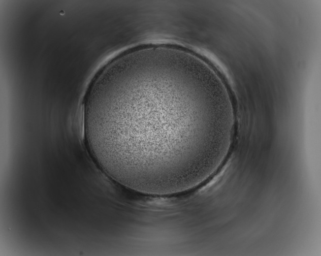 X0000093261175200710031558