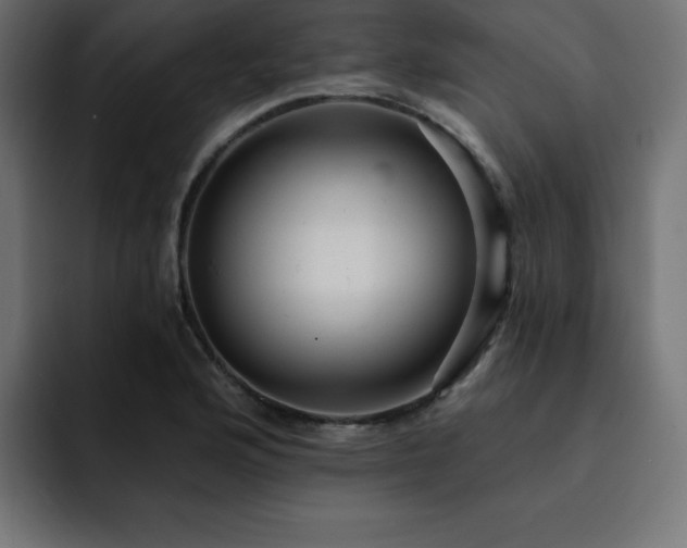 X0000093261176200710031558