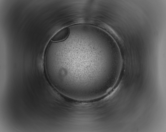 X0000093261178200710031558