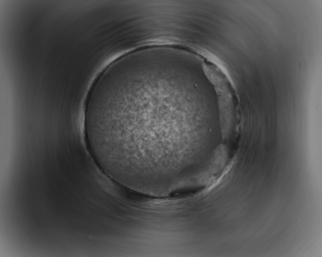 X0000093261179200710031558