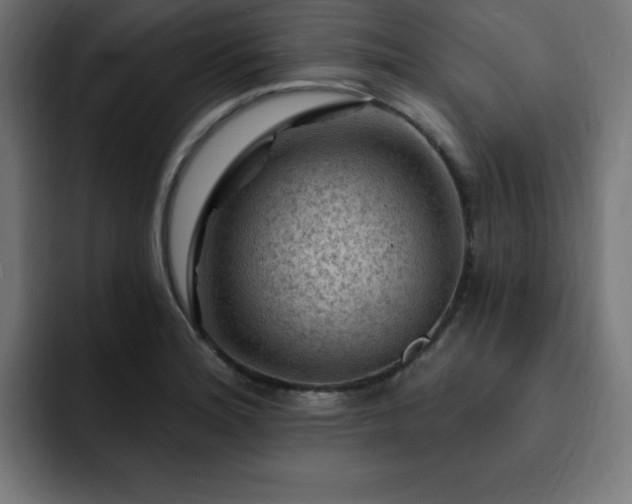 X0000093261180200710031558