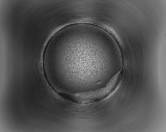 X0000093261184200710031558