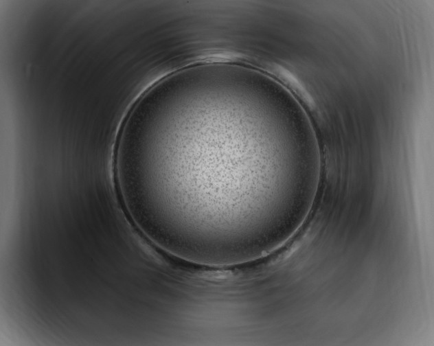 X0000093261186200710031558