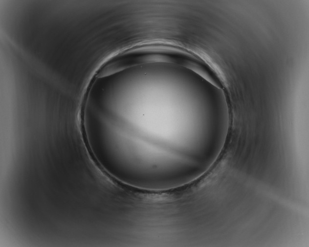 X0000093261189200710031558