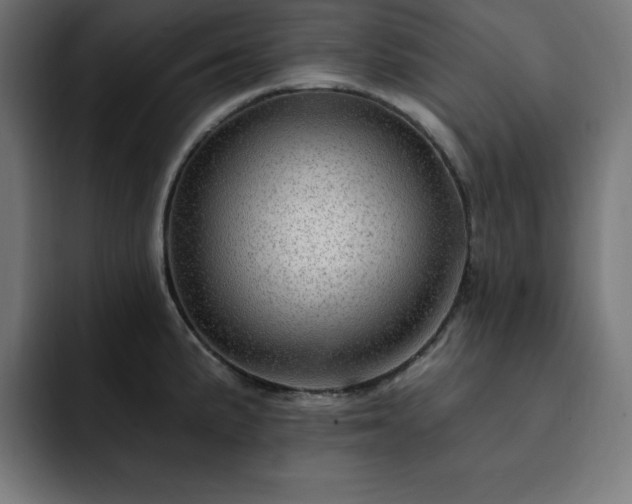 X0000093261191200710031558