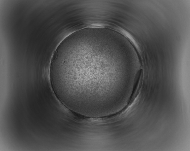 X0000093261194200710031558