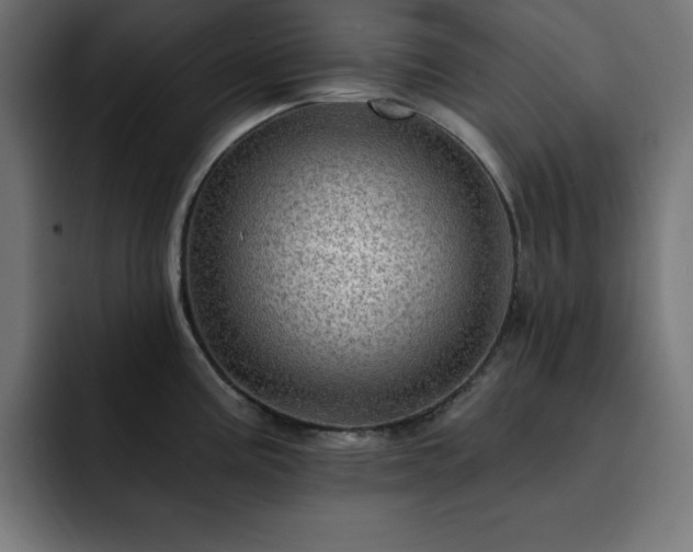 X0000093261195200710031558