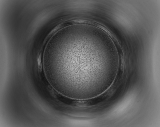 X0000093261198200710031558