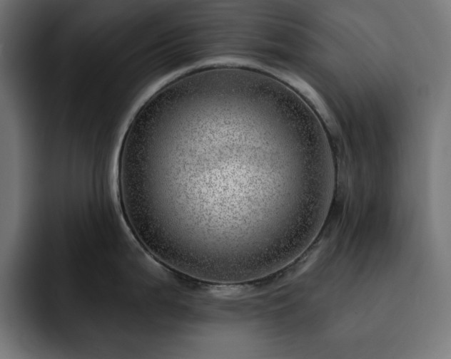 X0000093261199200710031558