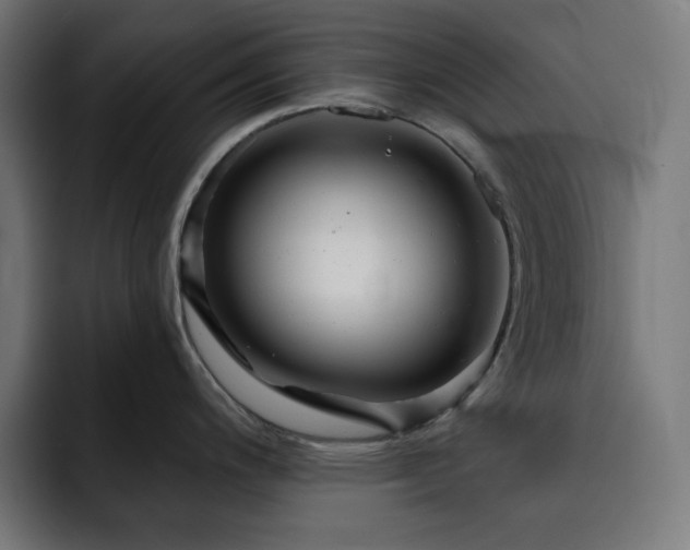 X0000093261200200710031558