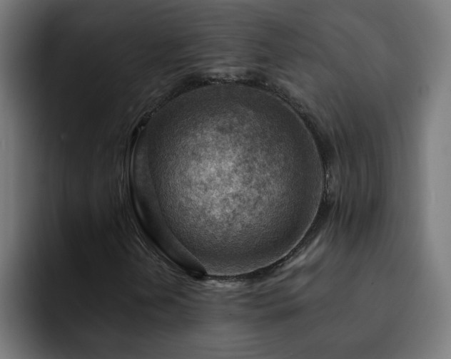 X0000093261202200710031557