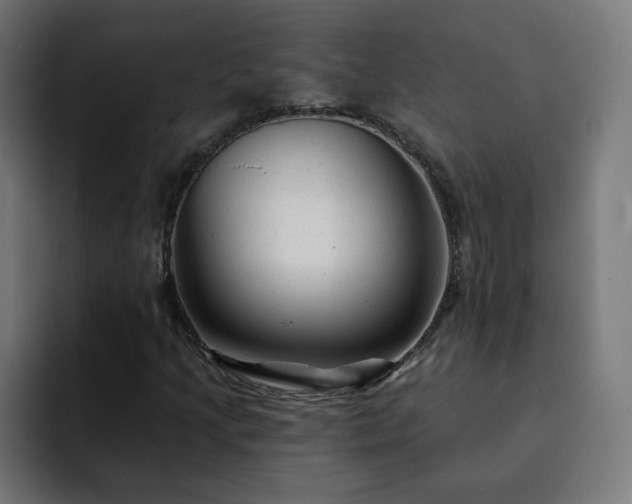 X0000093261205200710031557