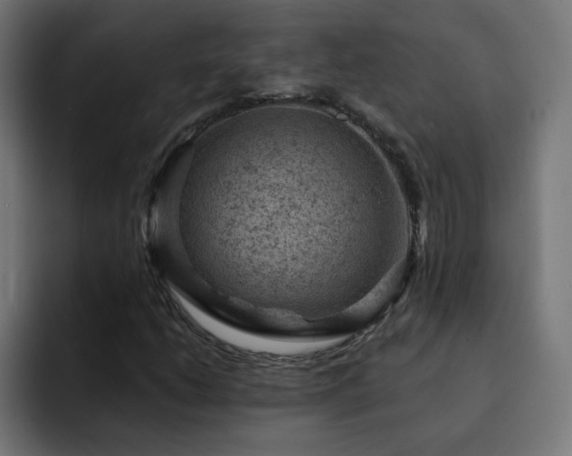 X0000093261206200710031557