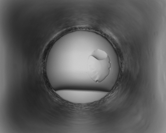 X0000093261208200710031558