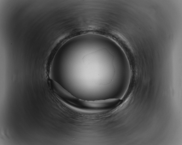 X0000093261210200710031558