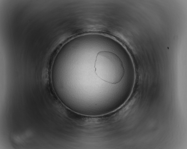 X0000093261211200710031558