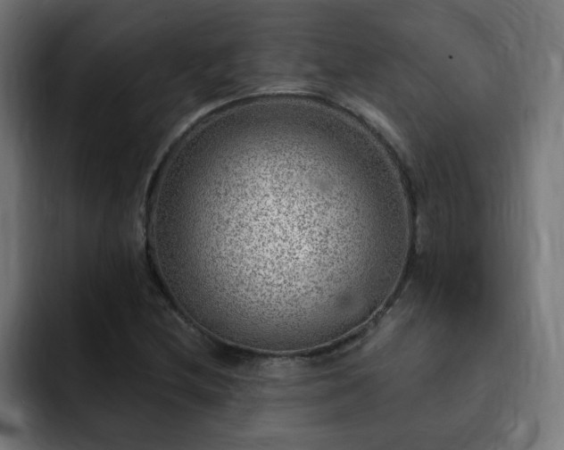 X0000093261212200710031558