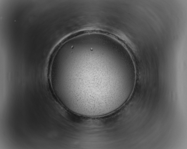 X0000093261216200710031558