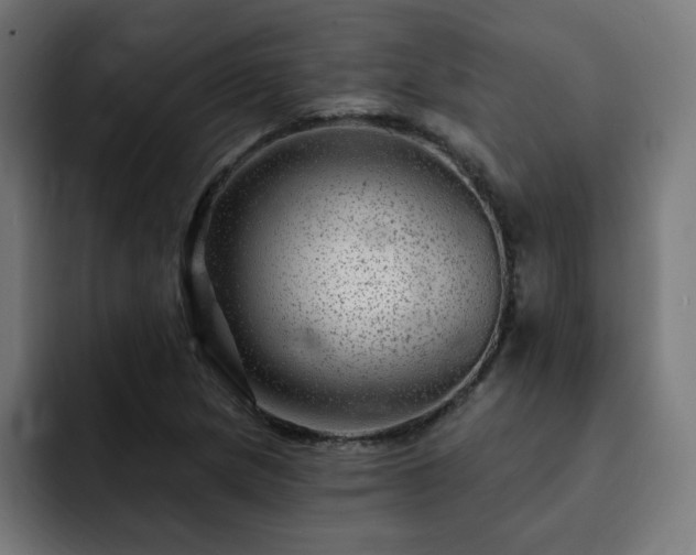 X0000093261217200710031558