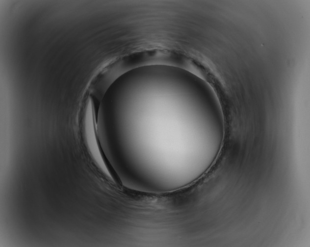 X0000093261218200710031558