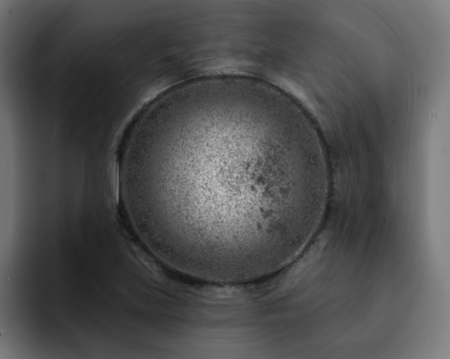 X0000093261219200710031558