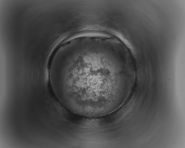 X0000093261221200710031558