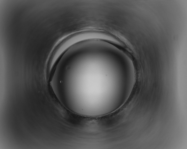 X0000093261222200710031558