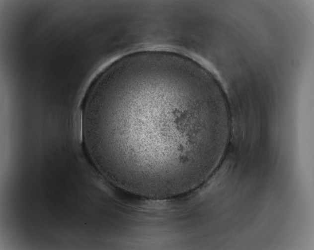 X0000093261223200710031558