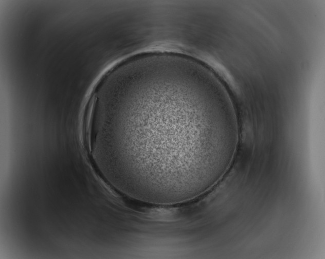 X0000093261224200710031558