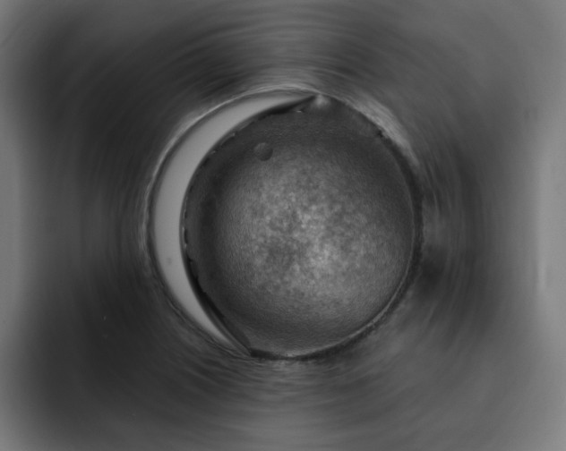 X0000093261226200710031558