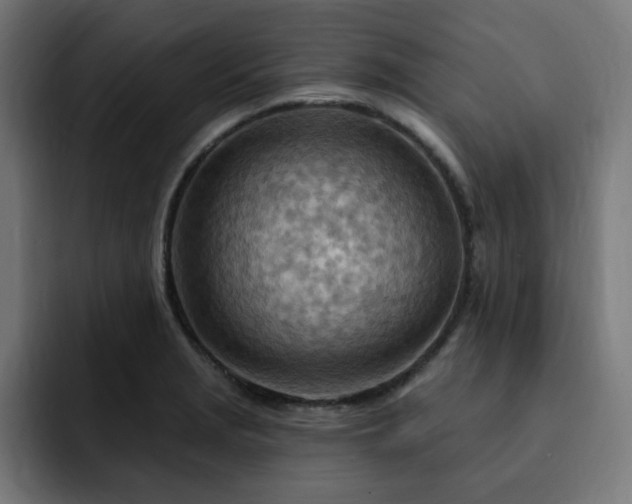 X0000093261229200710031558