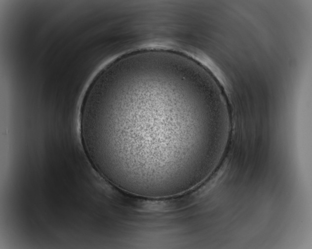 X0000093261232200710031558