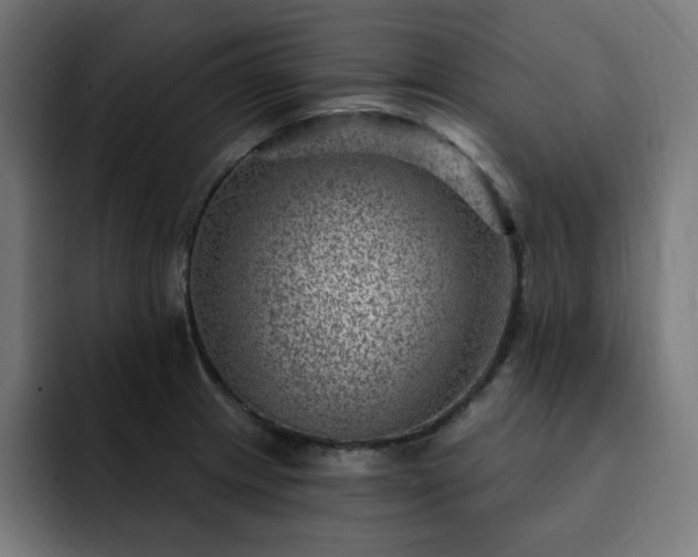X0000093261233200710031558