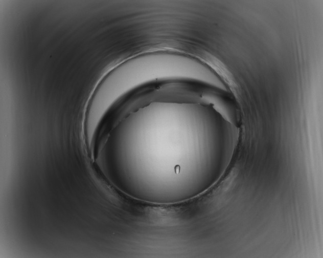 X0000093261234200710031558