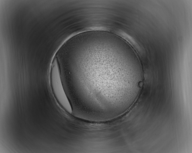 X0000093261236200710031558