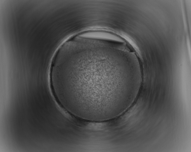 X0000093261237200710031558