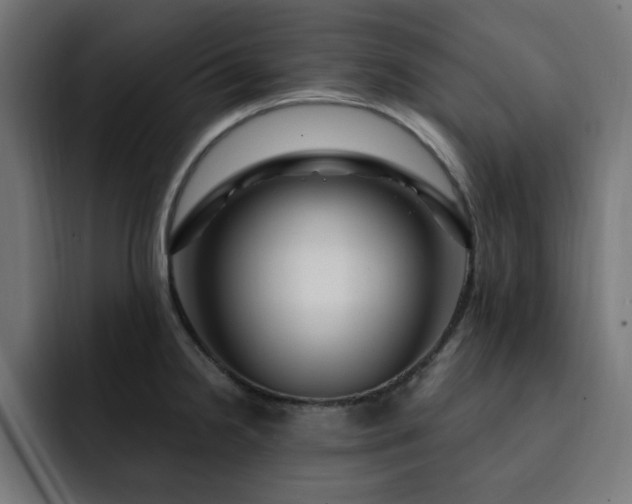 X0000093261238200710031558